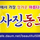 7월20일 수선사& 천년의 숲 함양 상림공원 청춘을 부르는 ditto 출사 급 취소1 분 모십니다 이미지