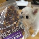 얌얌 이미지