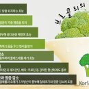브로콜리