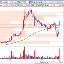 리켐코리아 이미지