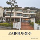 조용한펜션 | 태안 숙소 힐링하기 좋은 조용한 바닷가 펜션 스테이가경주 내돈내산 후기