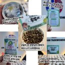 운산태권도장 | 🍀 [식목일 이벤트] 운산 네잎클로버를 찾아라!🍀| 부산 용호동 태권도 | 운산 태권도