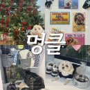 멍클 | 대전 원신흥동 애견카페 [멍클] 고급진 신상 가득