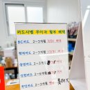 앙드레안경원 이미지
