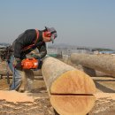 전가복(全家福) 이미지