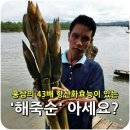 해죽순닷컴