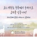 동물들의세상 이미지
