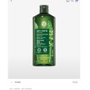 헤어템 추천 재구매템 올영추천템 샴푸 트리트먼트 내돈내산 힐링버드 달리프 지성두피