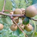 형국농장 이미지