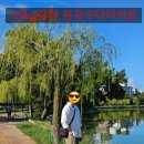 (주)쥬비스다이어트 마포점 이미지