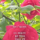 칠월,