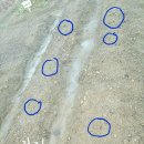 성구농장 이미지