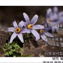 토함산 송창식 Cm키 보낙동 뮤직보이 D#키로 연주 이미지