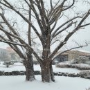 석정온천휴스파 이미지