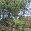 누구를 위하여 종은 울리나 2 이미지