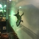 우용농장 | 실내 동물원 방문후기 !!(더 쥬)