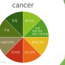 통합의학적 암 치료와 관리가 필요한 이유 이미지