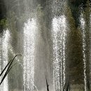 산책길에 이미지