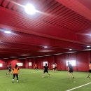 코알라패밀리 이미지