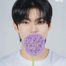 마이오디션 네이버블로그