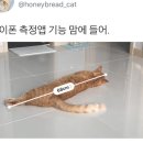 이거 아이폰 무슨 측정앱일가?? 이미지