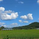 미애농장 이미지