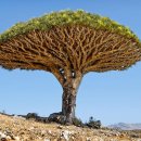 빈 팩토리 이미지