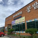 콩밭가인 이미지