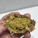 몽드로쉐 이미지