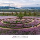 신소양체육공원1 이미지