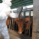 이진철농장 이미지