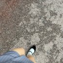 로이드밤 이천점