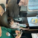 [국내/부산] 아기랑 임산부 1박2일 부산여행, 파라다이스호텔 부산 신관 온돌룸 만족후기!
