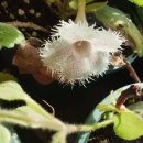 손발공주 이미지