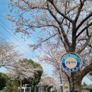 호근서호로 이미지