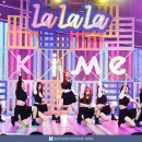 위미 이미지
