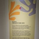 태양의 화가 반고흐 레플리카전 | 앙리마티스 전시 의정부 그림 색채의 마술사 레플리카전 전시회 굿즈 상세 후기