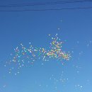 실용무용페스티벌 이미지