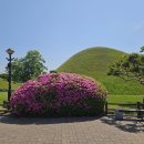 패밀리 여행 1일차-경주 한화콘도(25년 5월 14일 수) 이미지