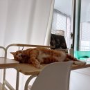 태평상사 이미지