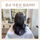 바이올렛 | 광교 중앙역 미용실 쉼표1983 애쉬바이올렛 염색 후기