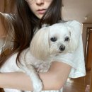 늘푸른안경원 | 색깔변하는 안경 변색렌즈 내돈내산 후기 / 변색안경 렌즈 추천 리뷰 / 국산 렌즈 칼 자이즈 렌즈 체감...