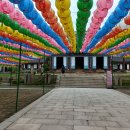 용주사 | 화성시 송산동 용주사 방문후기