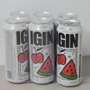 IGIN 아이긴 달콤토닉, 새콤토닉 | 방탄소년단 진 지니스램프 토닉 내돈내산 후기