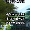 세상이개