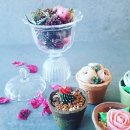 손플라워카페 이미지