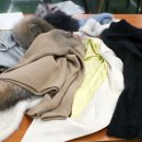 청송세탁 이미지