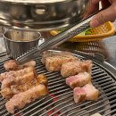 더까망돼지 이미지