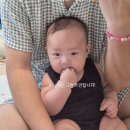 유하 카카오 검색결과