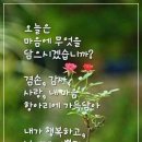 쉼표 이미지